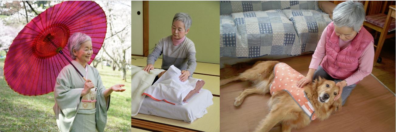 Reiki for pets