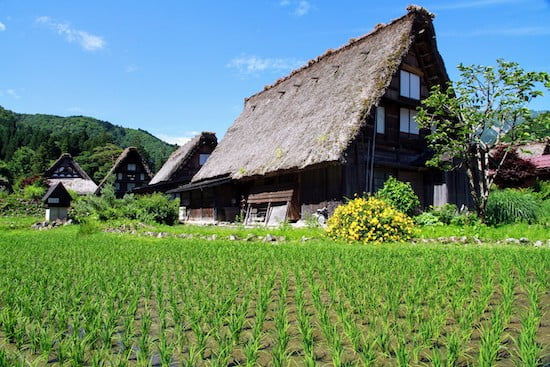 Thatched roofs of shirakawago