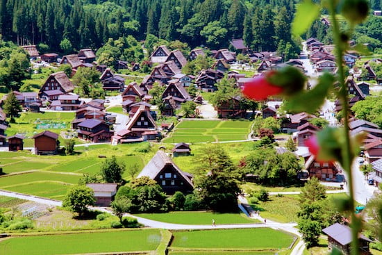 Shirakawago spring