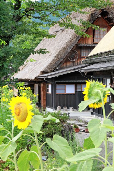 Shirakawago House