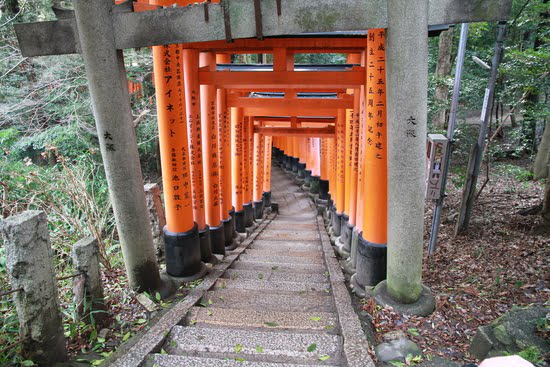 Fushimi inari