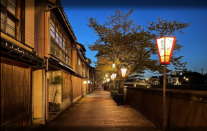 Geisha District Night Tour