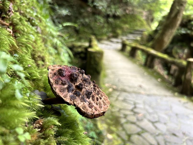 Kakusenkei Gorge