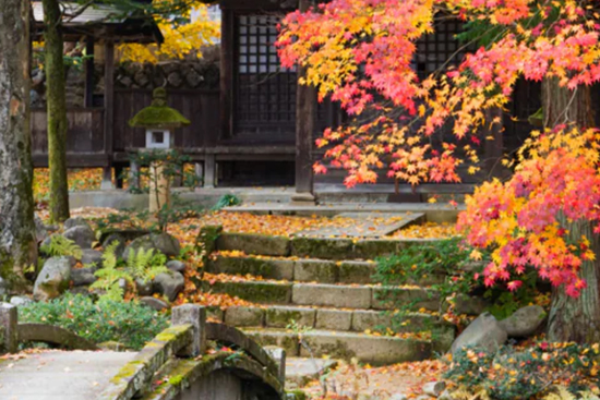 Takayama Temple Walk