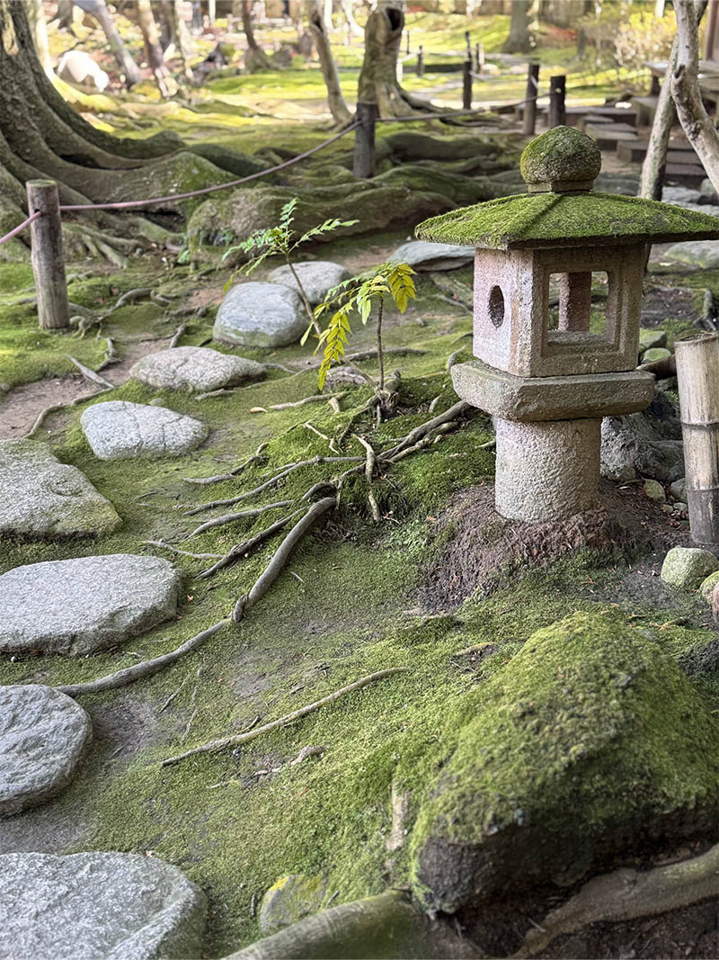 IMG_1522_0000_IMG_6650