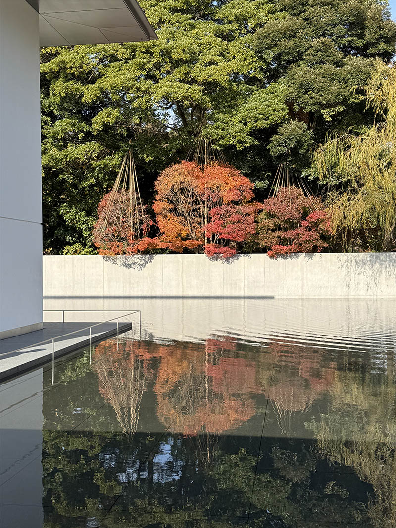 IMG_1522_0003_IMG_6632