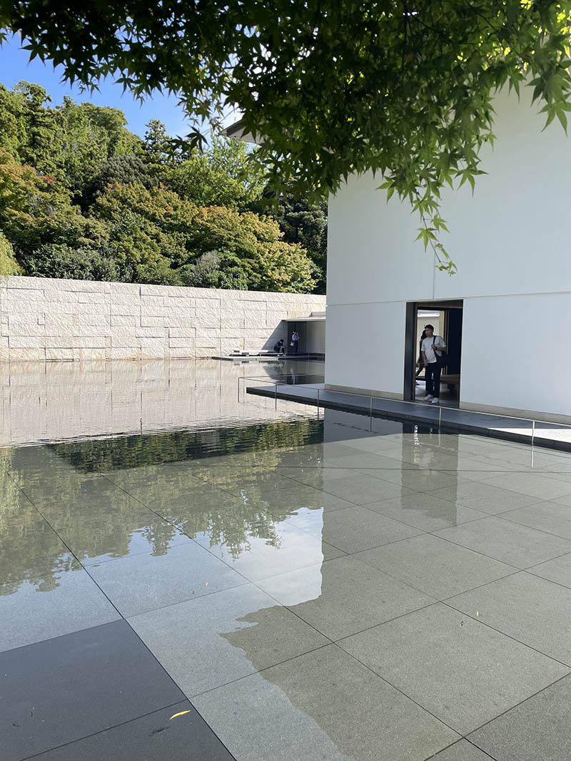 IMG_1522_0005_Background