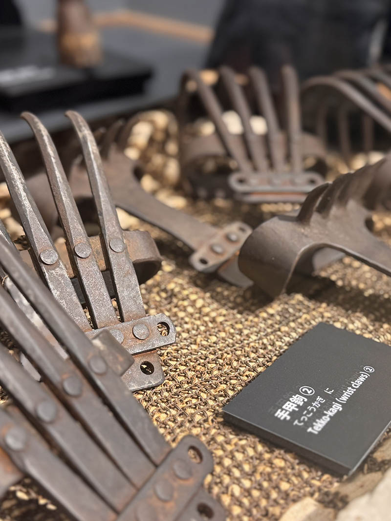 downsize_0000_IMG_0694