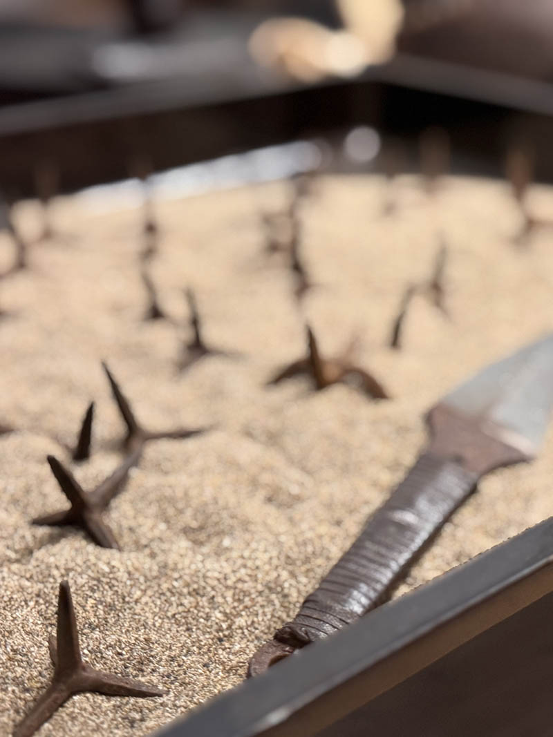 downsize_0001_IMG_0693