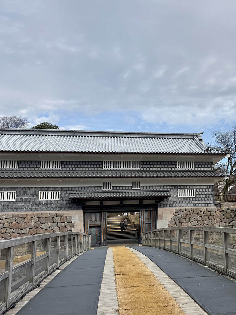 downsize_0002_IMG_6831