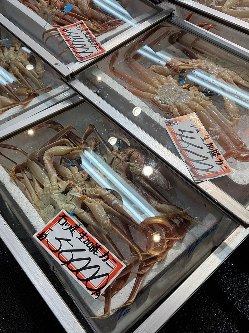 downsize_0003_IMG_7184