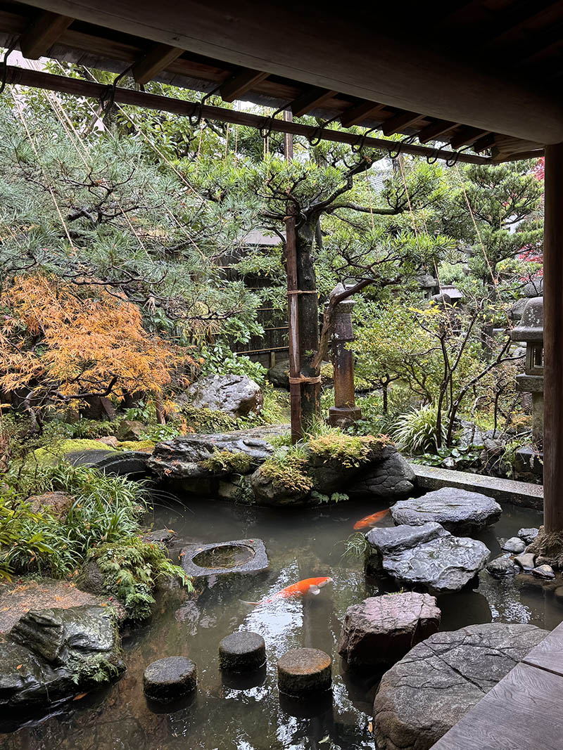 downsize_0006_IMG_4413