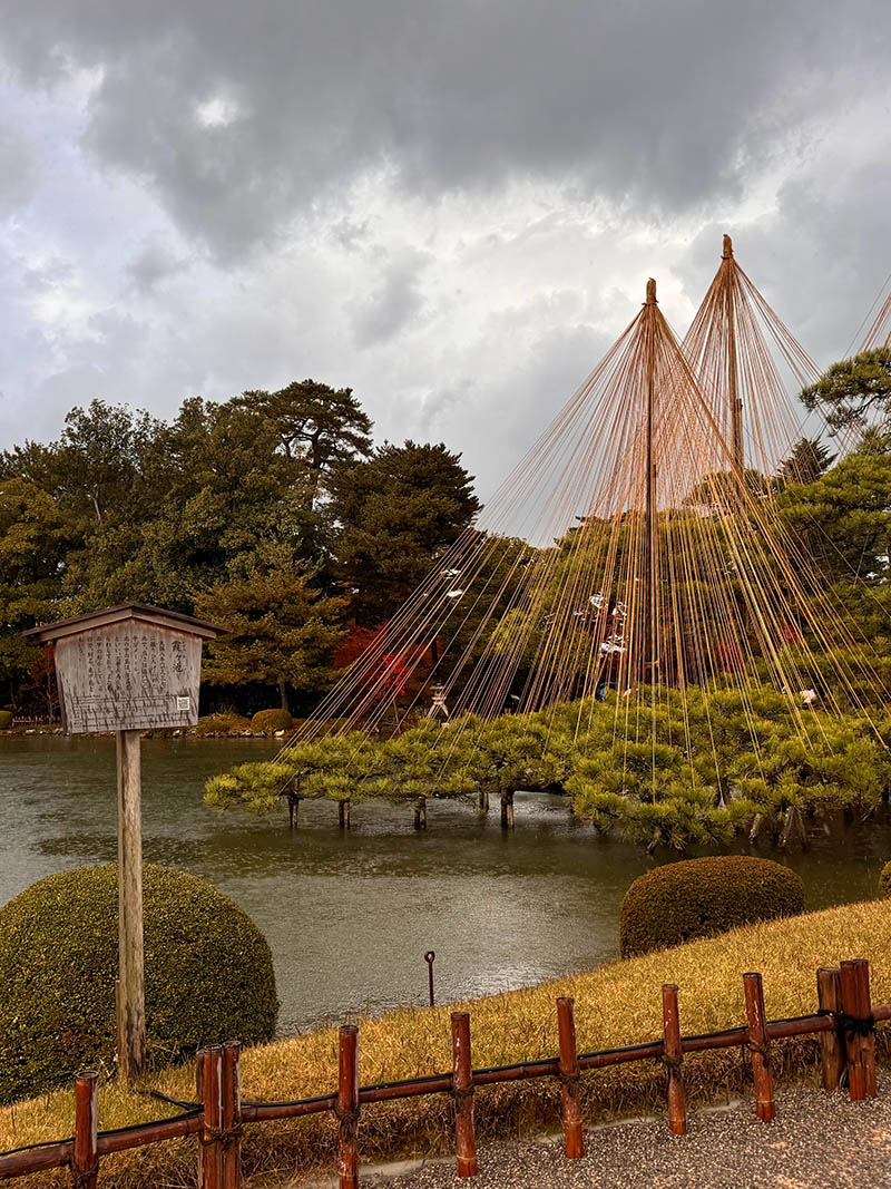 downsize_0007_IMG_4322