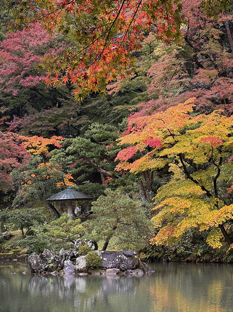 downsize_0009_IMG_3951