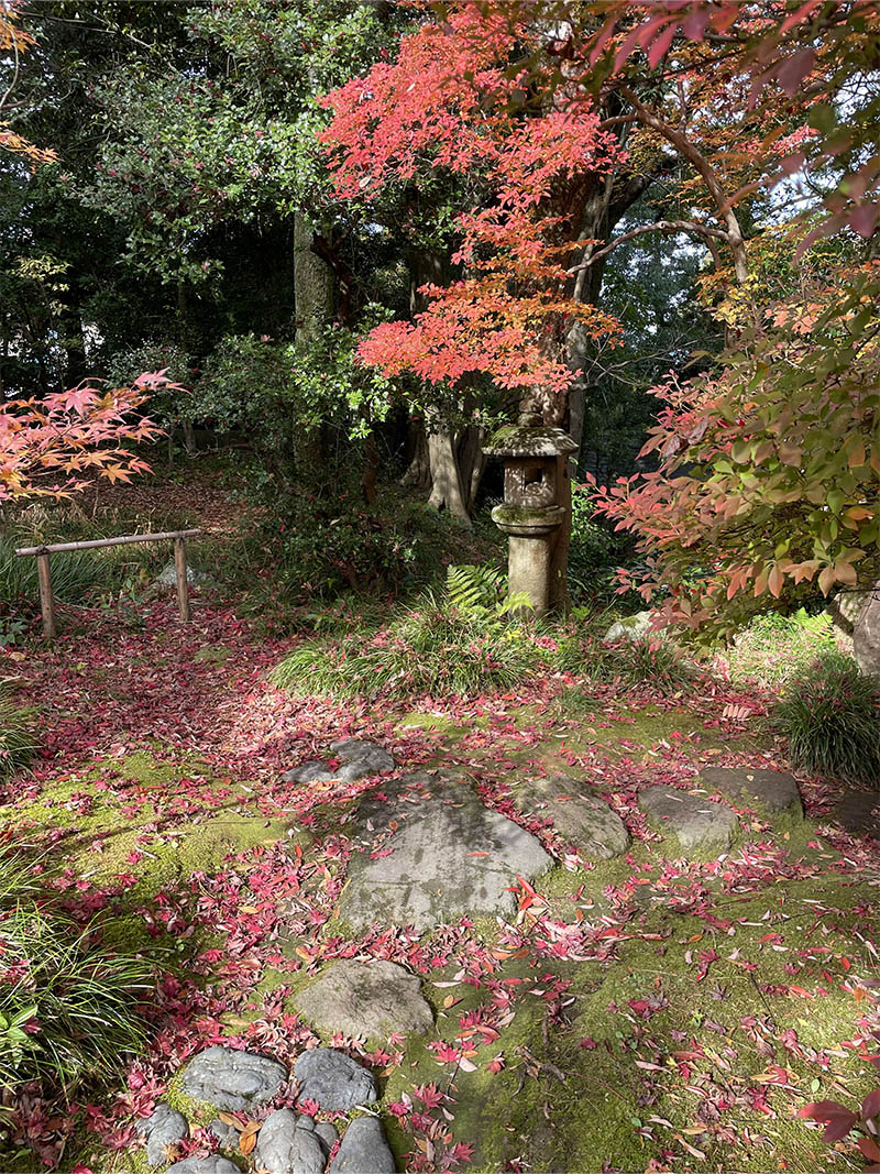 downsize_0011_IMG_2047