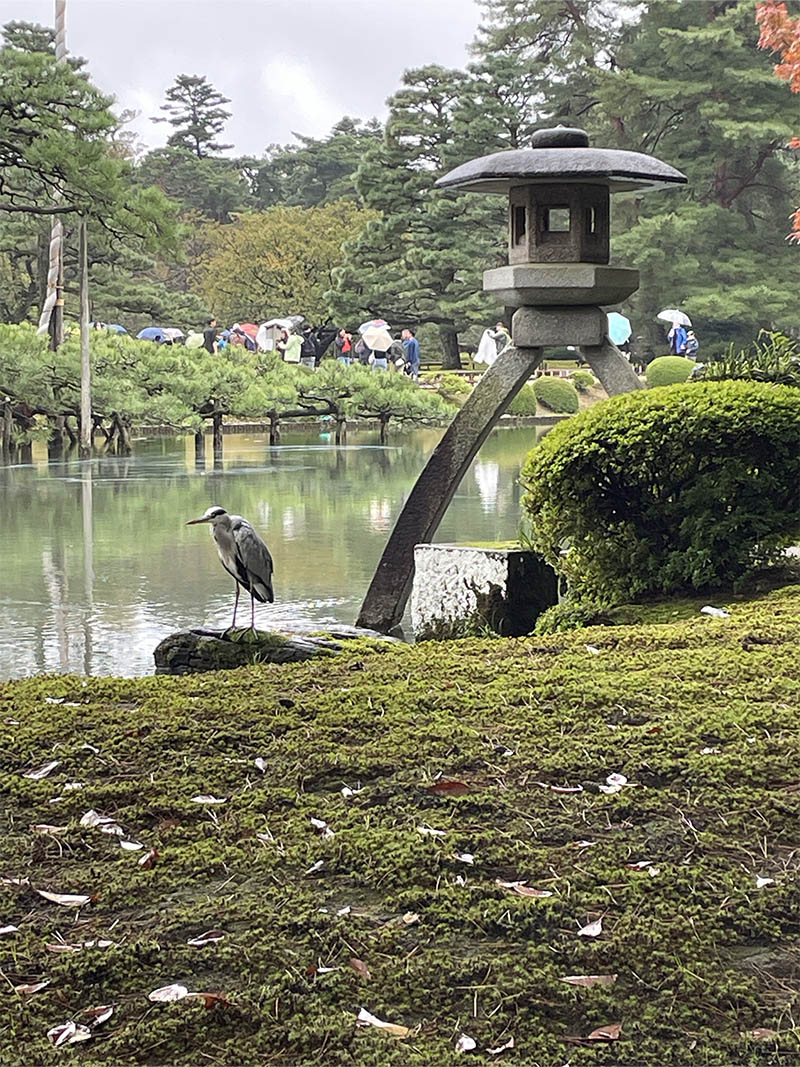 downsize_0013_IMG_1709