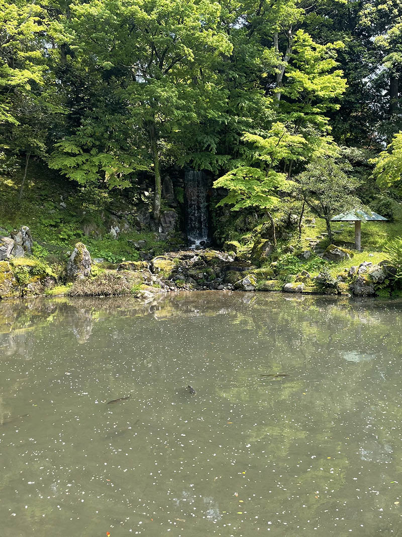 downsize_0016_IMG_0612