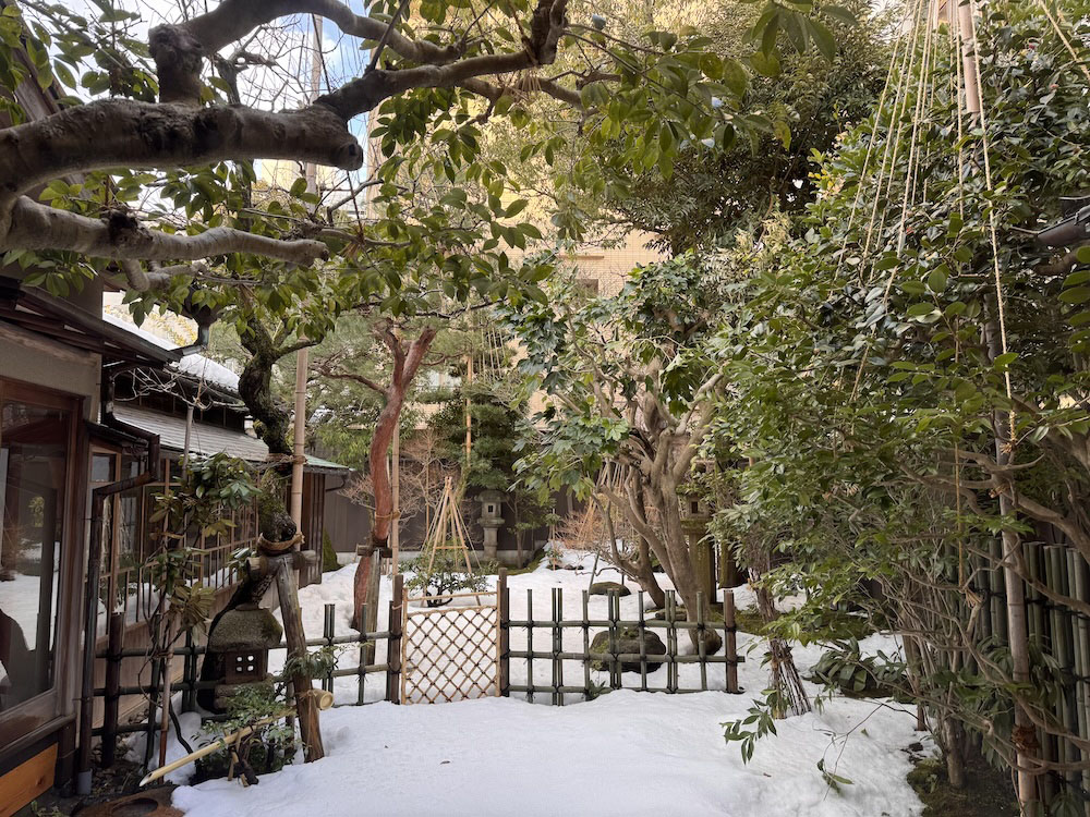 downsize_0016_IMG_6071